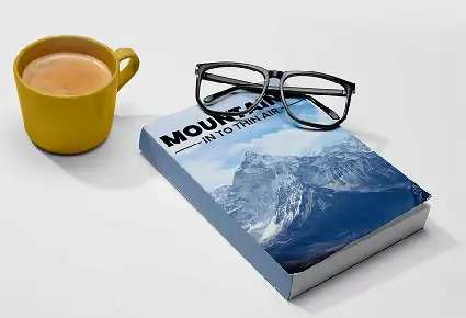 Professional Web Content Writing Strategy